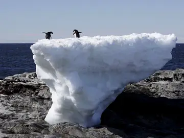 las condiciones del mar y el lecho de roca debajo de un glaciar pueden influir en la masa congelada las condiciones del mar y el lecho de roca debajo de un glaciar pueden influir en la masa congelada