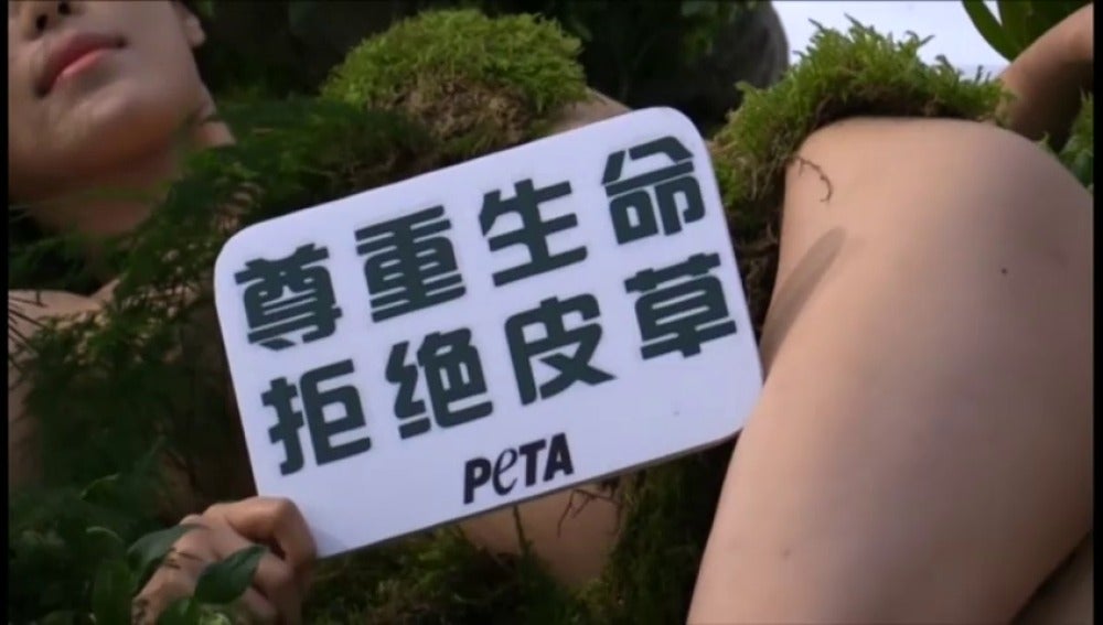 Frame 6.129782 de: Desnudos en contra del uso de pieles de animales en China