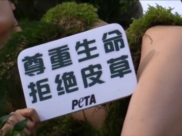 Frame 6.129782 de: Desnudos en contra del uso de pieles de animales en China