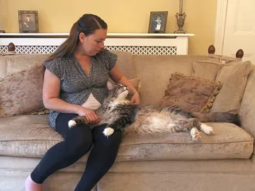 Ludo, el gato más largo del mundo Ludo, el gato más largo del mundo