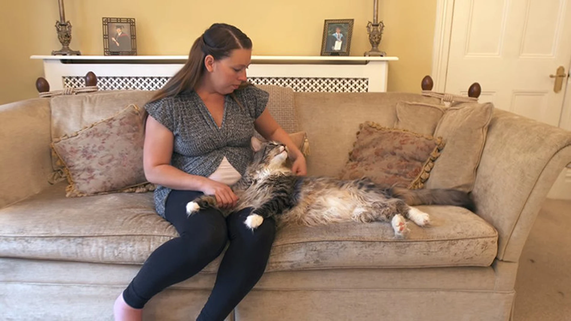 Ludo, el gato más largo del mundo Ludo, el gato más largo del mundo