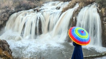 Un regalo de la naturaleza (04-11-2016)