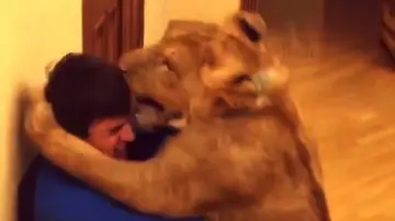 Salim Zhambeev en su casa con la leona Salim Zhambeev en su casa con la leona