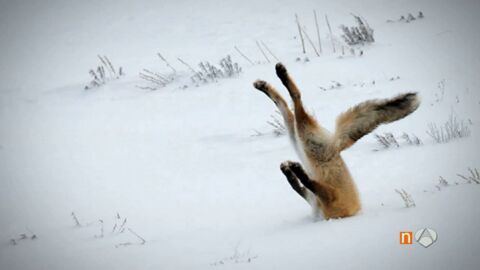 Frame 0.0 de: FOTOGRAFIAS_COMICAS