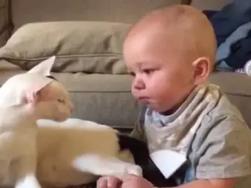 Bebé sujeta a su gato por la pata Bebé sujeta a su gato por la pata