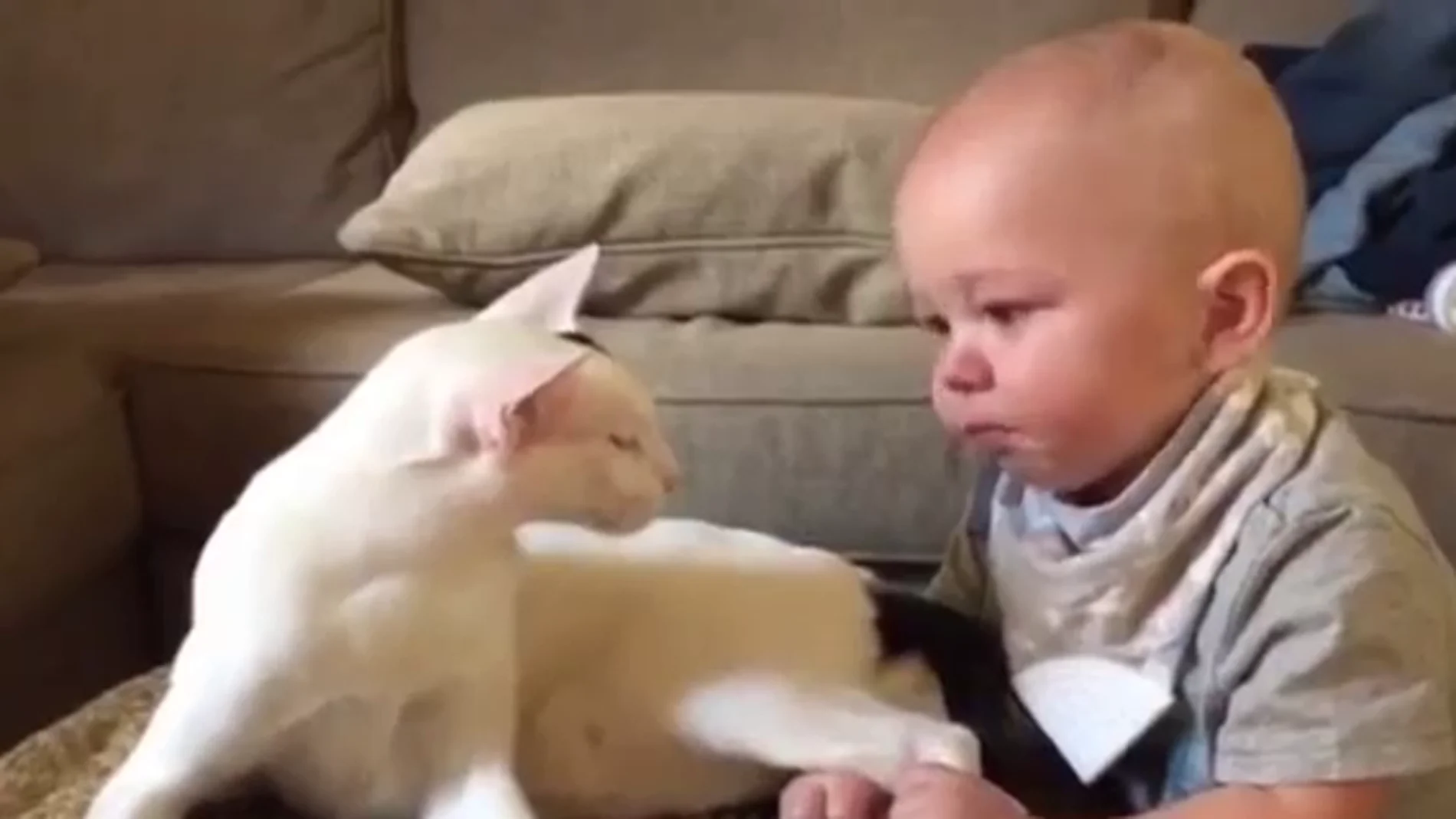 Bebé sujeta a su gato por la pata