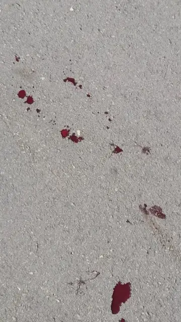 Manchas de sangre en el asfalto Manchas de sangre en el asfalto