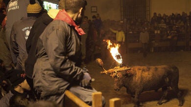 Casi 3.000 personas acuden a la celebración del Toro Júbilo en Medinaceli que se celebra entre fuertes medidas de seguridad
