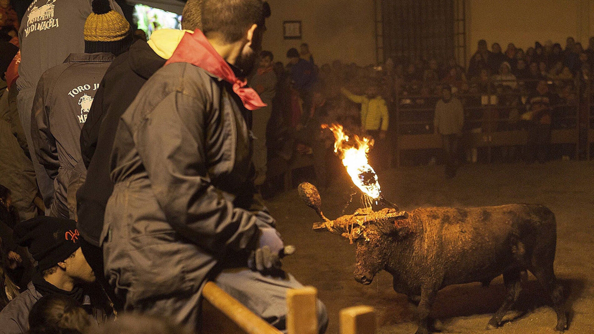 El Toro Jubilo, el &uacute;nico toro de fuego que pervive en Castilla y Le&oacute;n