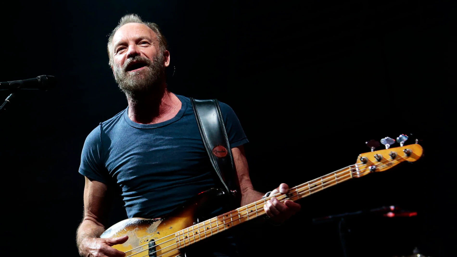 El cantante británico Sting El cantante británico Sting