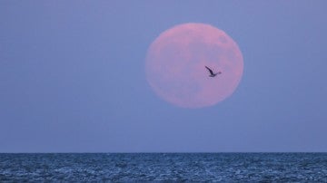 La superluna en el lago Michigan 