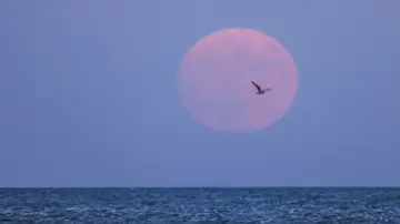 La superluna en el lago Michigan La superluna en el lago Michigan