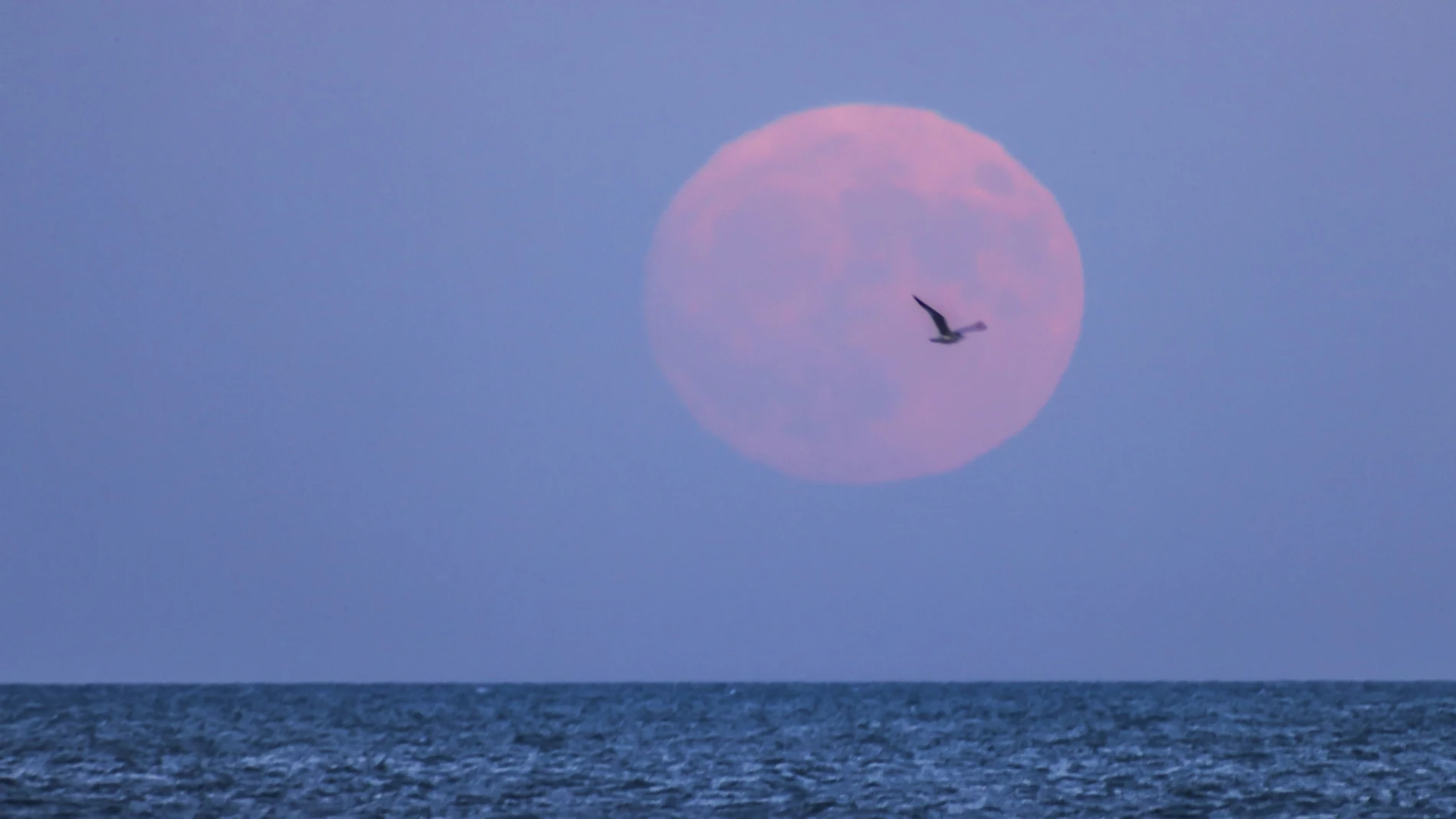 La superluna en el lago Michigan La superluna en el lago Michigan
