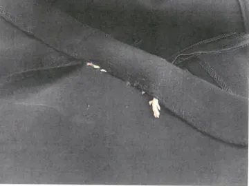 La pata del roedor asomaba por el vestido La pata del roedor asomaba por el vestido
