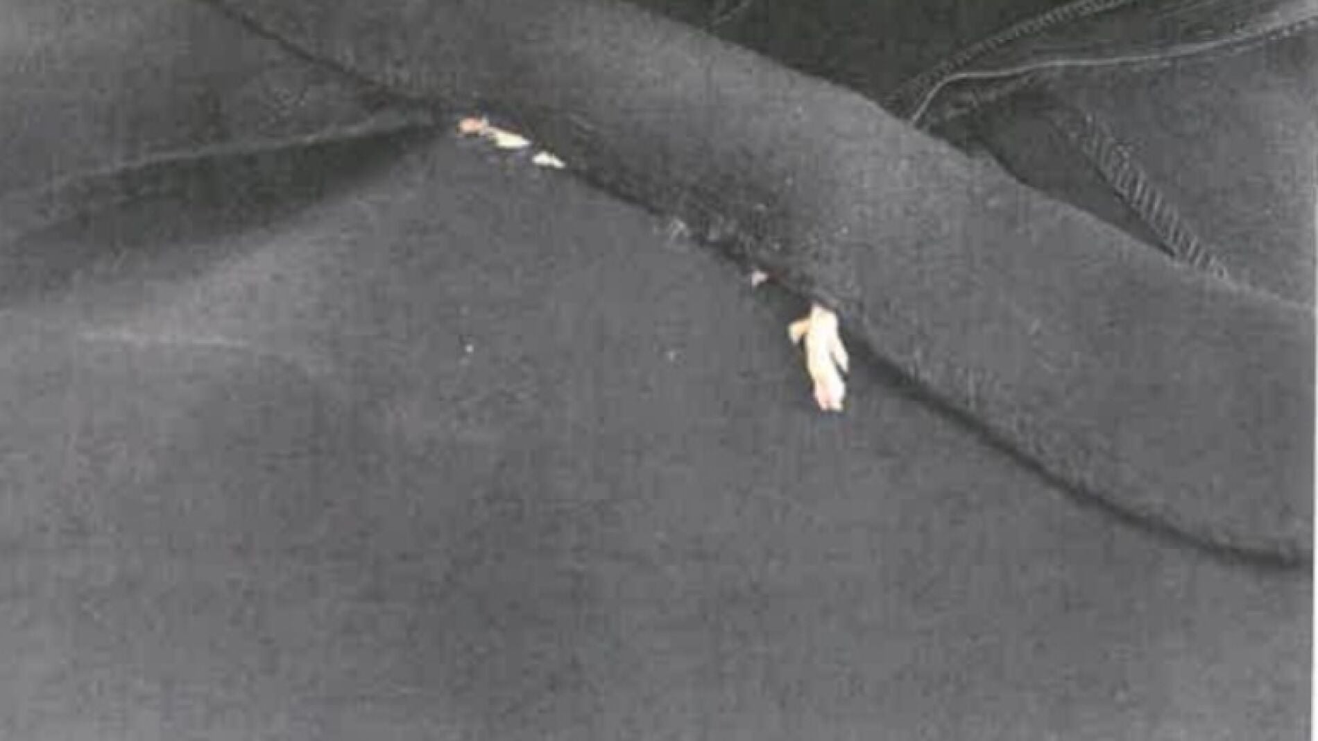 La pata del roedor asomaba por el vestido