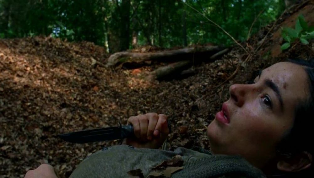 The Walking Dead