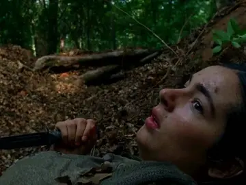 The Walking Dead The Walking Dead