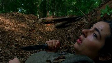 The Walking Dead