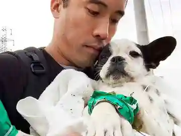 Marc Ching con uno de los perros Marc Ching con uno de los perros