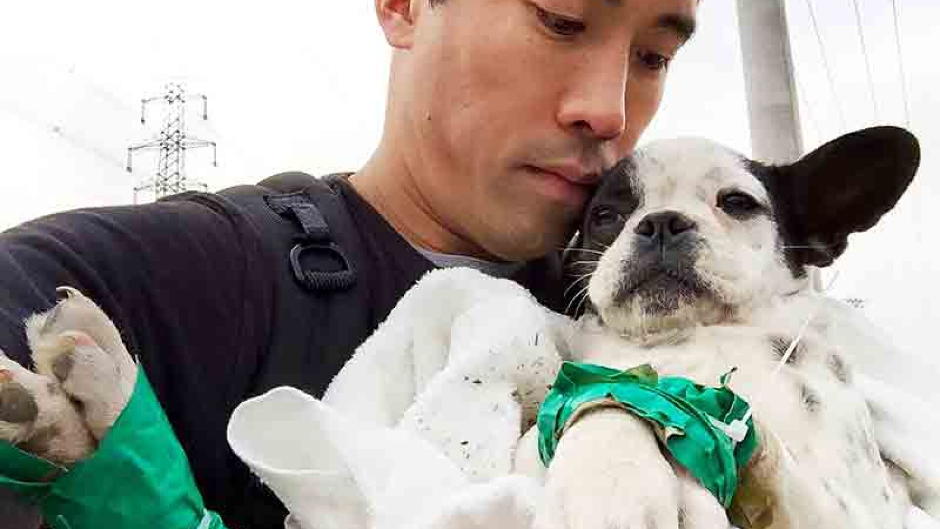 Marc Ching con uno de los perros 