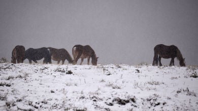 Una masa de aire polar dejará nevadas 