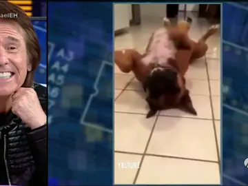 Frame 48.629421 de: Los mejores 'mannequin challenge' perrunos Frame 48.629421 de: Los mejores 'mannequin challenge' perrunos