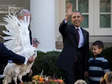 Obama en el tradicional indulto del pavo Obama en el tradicional indulto del pavo