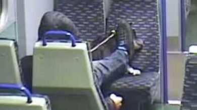 Un perro muere tras una brutal agresión por parte de su dueño en un tren en Reino Unido, recogida por las cámaras de seguridad