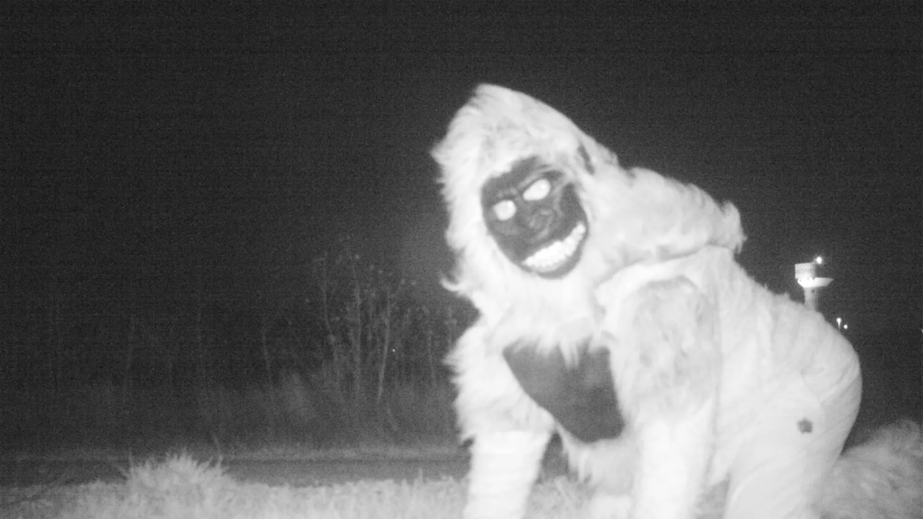 Un hombre disfrazado de gorila gasta una broma a la policía Un hombre disfrazado de gorila gasta una broma a la policía