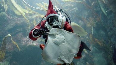 Las mejores instantáneas de la semana del 21 al 27 de noviembre