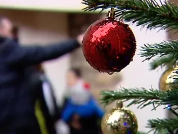 Abeto de Navidad Abeto de Navidad