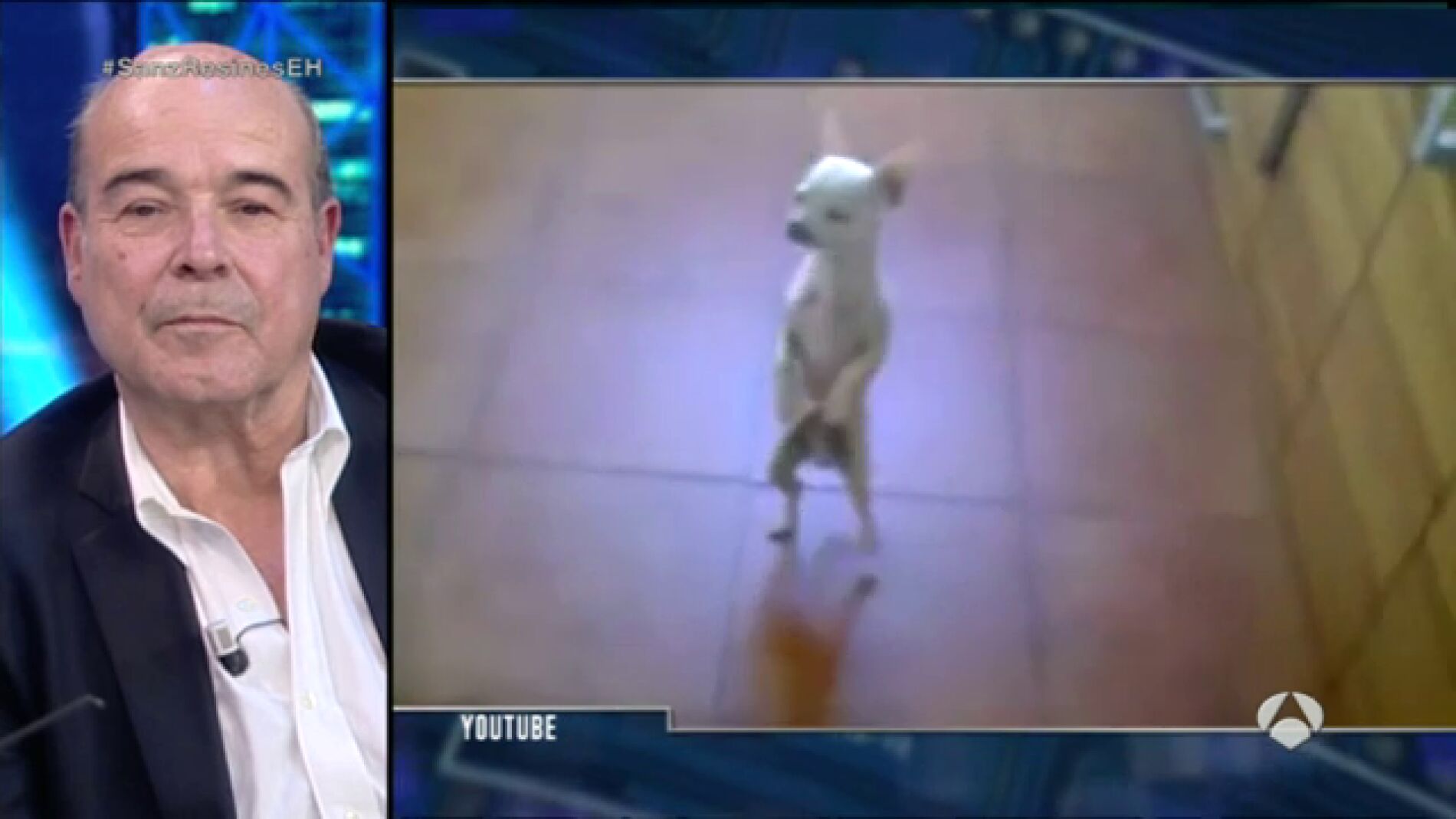 Frame 79.218247 de: El perro m&Atilde;&iexcl;s bailongo de Internet