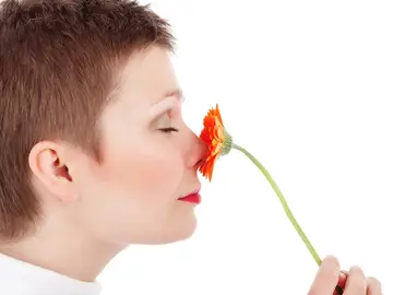 Una mujer huele una flor Una mujer huele una flor