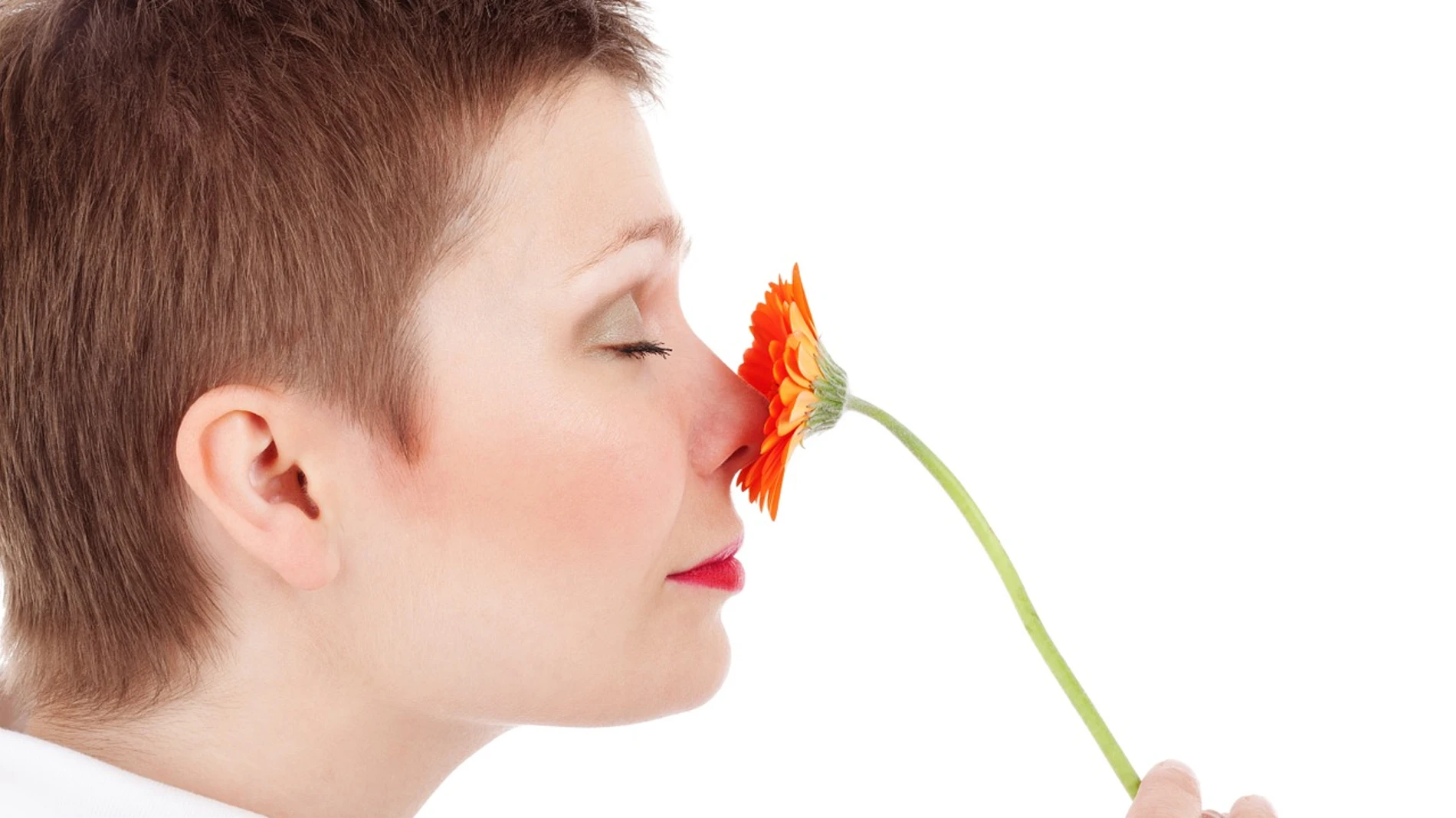 Una mujer huele una flor Una mujer huele una flor