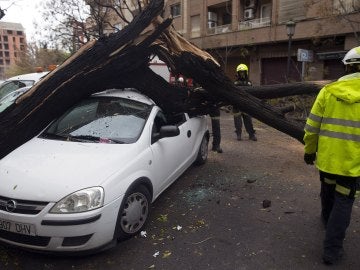 Daños por las lluvias en Valencia