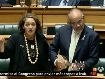 Diputados maoríes Diputados maoríes