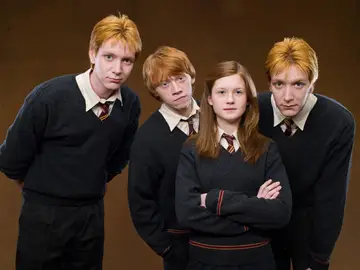 Los hijos de la familia Weasley (¡y no están todos!) Los hijos de la familia Weasley (¡y no están todos!)