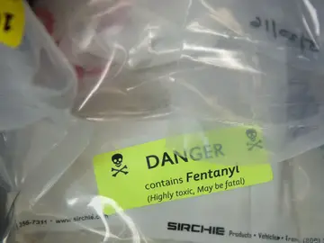 Incautan más de 23 kilos de fentanilo, cantidad suficiente para matar a la mitad de Florida (EEUU) Incautan más de 23 kilos de fentanilo, cantidad suficiente para matar a la mitad de Florida (EEUU)