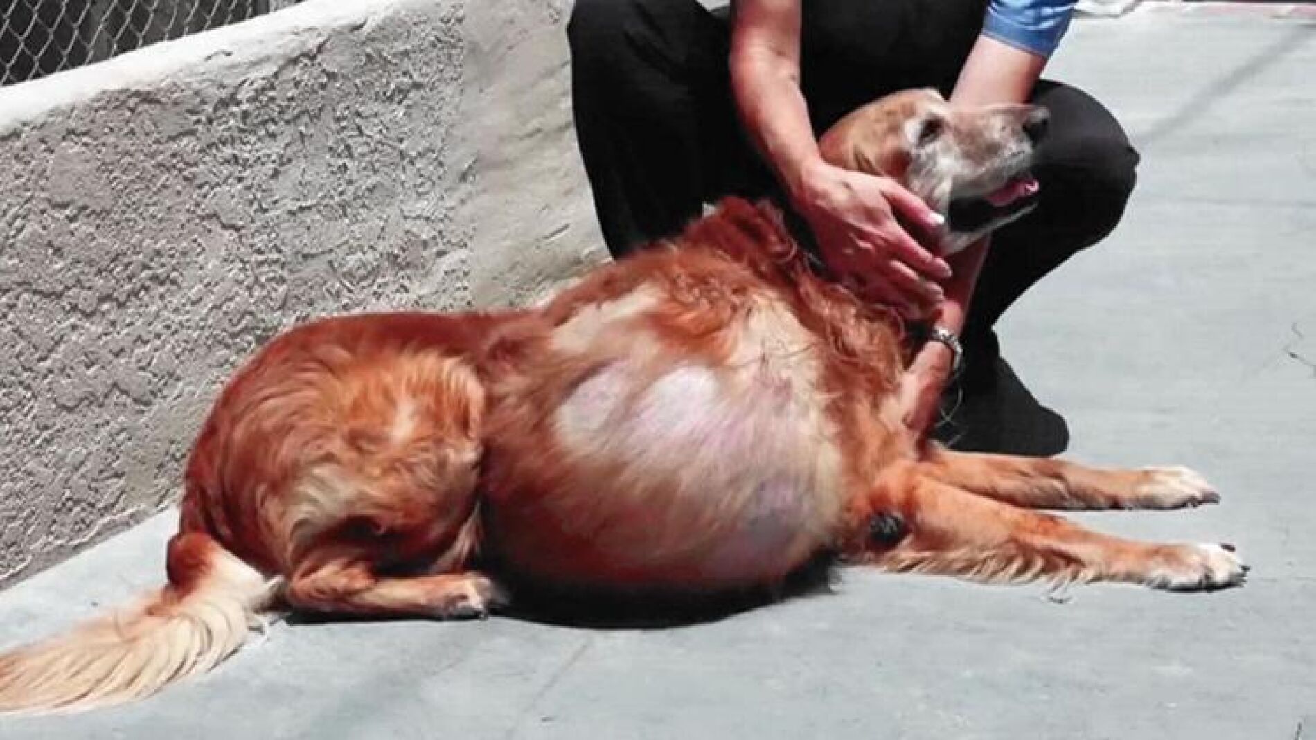 el tumor que ten&iacute;a Henry pesaba 19 kilos