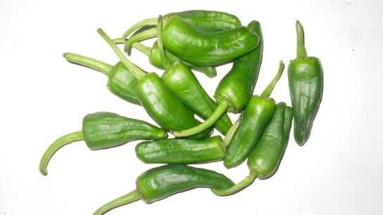 Pimientos de Padr&oacute;n.