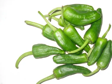 Pimientos de Padrón Pimientos de Padrón