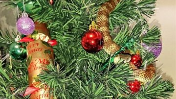 La serpiente en el árbol de Navidad 