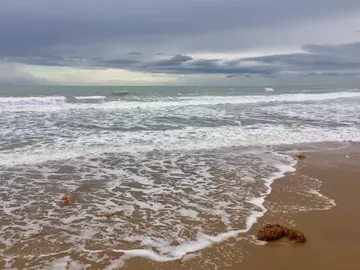 Imagen de una playa Imagen de una playa