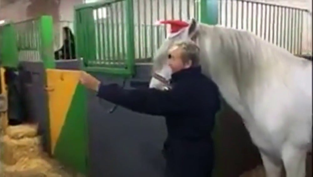 Frame 23.008525 de: Los caballos de la Policía Nacional se suman a la moda del "mannequín challenge"