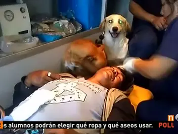 Frame 0.0 de: perro Frame 0.0 de: perro