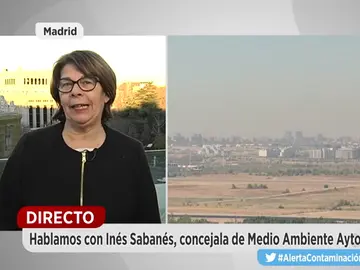 La concejal de Medio Ambiente de Madrid, Inés Sabanés La concejal de Medio Ambiente de Madrid, Inés Sabanés