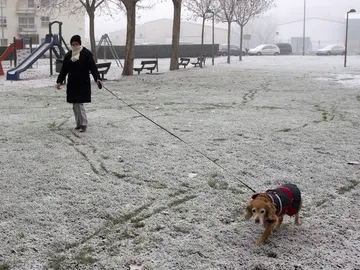 Frío intenso en enero Frío intenso en enero