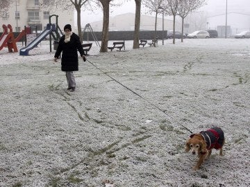 Un parque blanco debido a la cencellada y escarcha helada