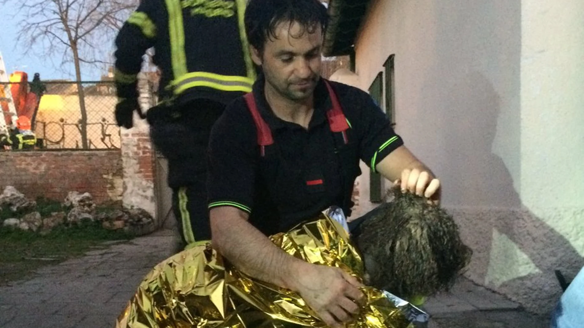Osa, la perrita de seis años que se ha caído a un pozo en Madrid Osa, la perrita de seis años que se ha caído a un pozo en Madrid