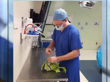 El doctor Groth operando al juguete de su paciente El doctor Groth operando al juguete de su paciente
